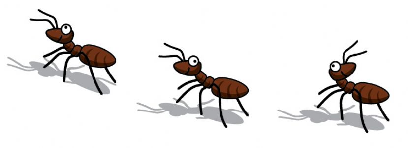 Resultado de imagen de formigues dibuix